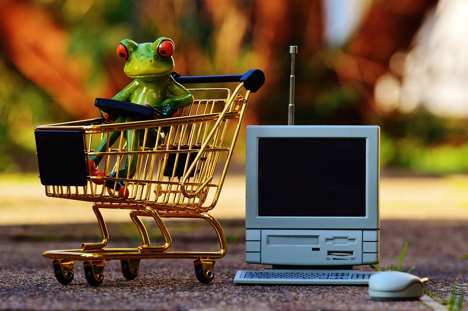 online-shopping-slika-1
